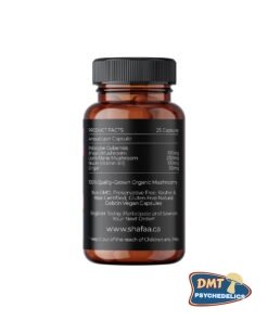 Alternative view of Shafaa Evolve Magic Mushroom Microdosing Cognition Capsules