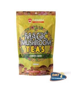 Washington Mushrooms Shroom Tea | 1000MG | Ginger Lemon