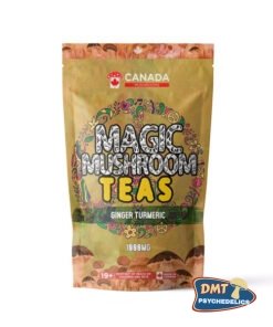 Washington Mushrooms Shroom Tea | 1000MG | Ginger Turmeric
