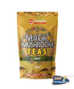 Washington Mushrooms Shroom Tea | 1000MG | Mango