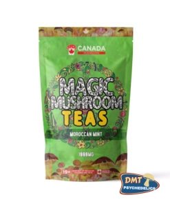 Washington Mushrooms Shroom Tea | 1000MG | Moroccan Mint