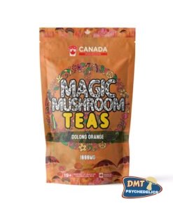 Washington Mushrooms Shroom Tea | 1000MG | Oolong Orange