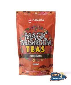 Washington Mushrooms Shroom Tea | 1000MG | Pomegranate