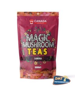 Washington Mushrooms Shroom Tea | 1000MG | Sangria