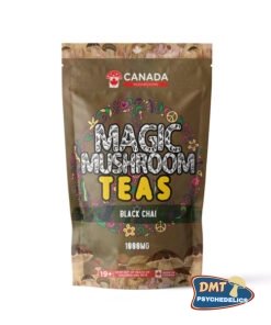 Washington Mushrooms Shroom Tea | 1000MG | Black Chai