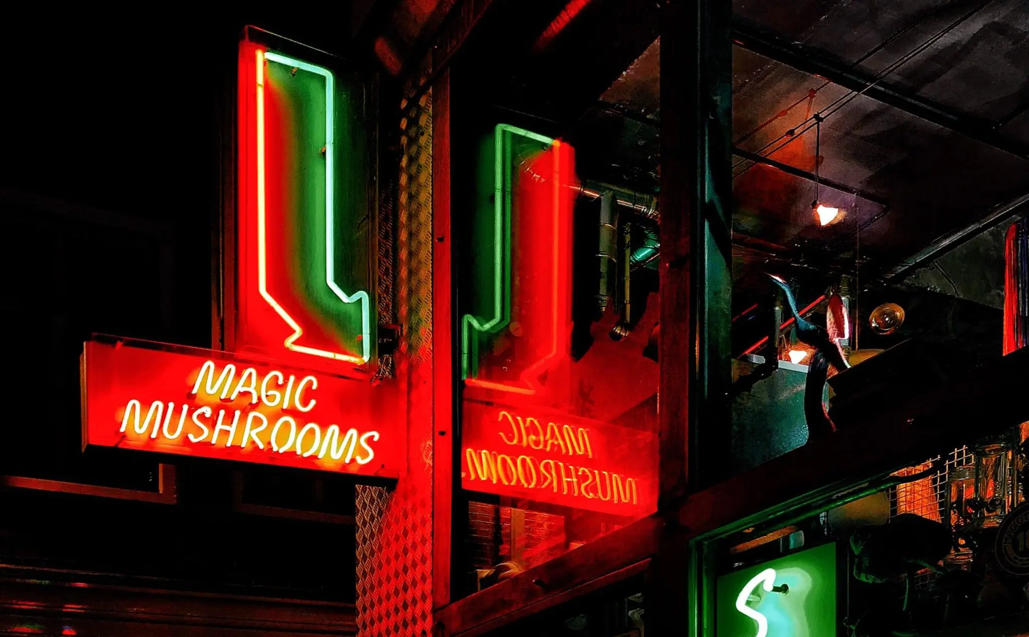 ABUT PSYCHEDELICS DM SHOP IN Washington