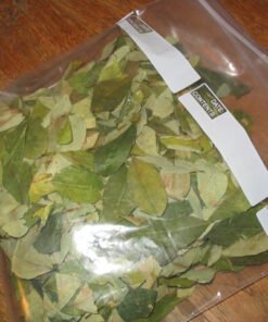 Buy Coca Leaves DC in Washington