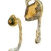 buy Panama Magic Mushrooms